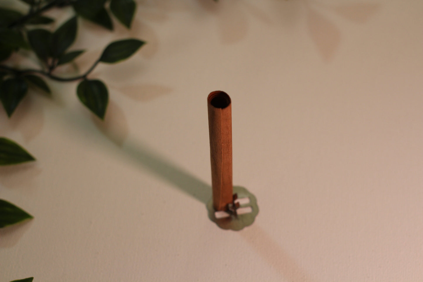 3 Pk Cinnamon Wick With Bases